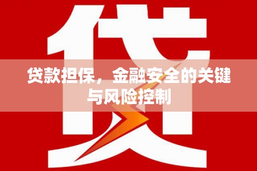 英山贷款担保，金融安全的关键与风险控制