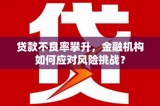 天河贷款不良率攀升，金融机构如何应对风险挑战？