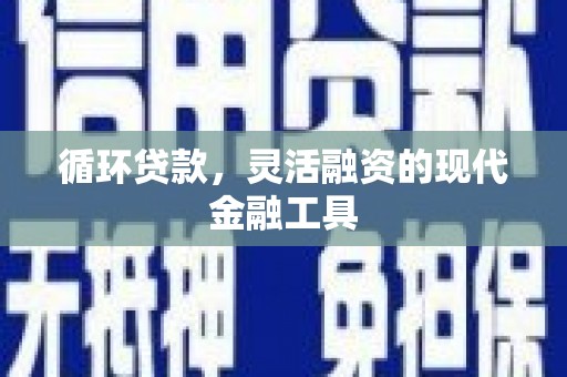 利辛循环贷款，灵活融资的现代金融工具