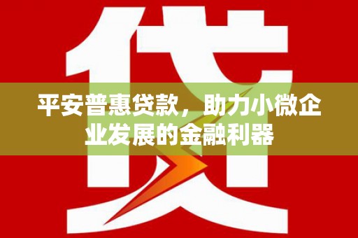 元宝山平安普惠贷款，助力小微企业发展的金融利器