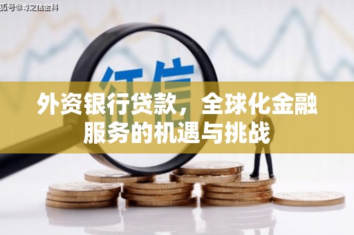 宜兰外资银行贷款，全球化金融服务的机遇与挑战