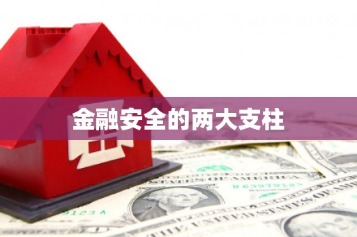 康乐金融安全的两大支柱
