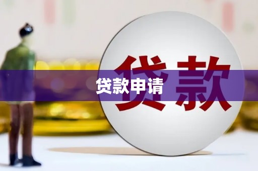 万峦贷款申请