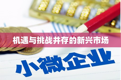代县机遇与挑战并存的新兴市场