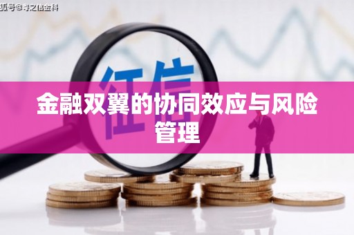 葵青金融双翼的协同效应与风险管理