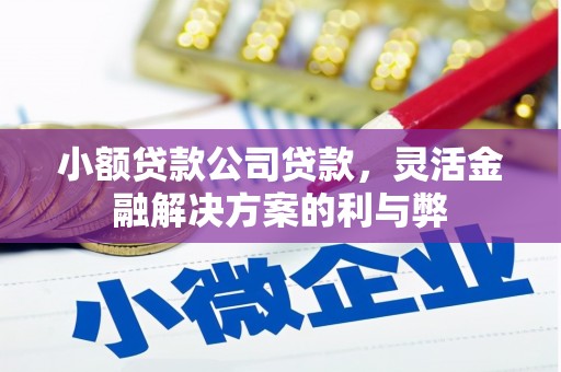 绥阳小额贷款公司贷款，灵活金融解决方案的利与弊